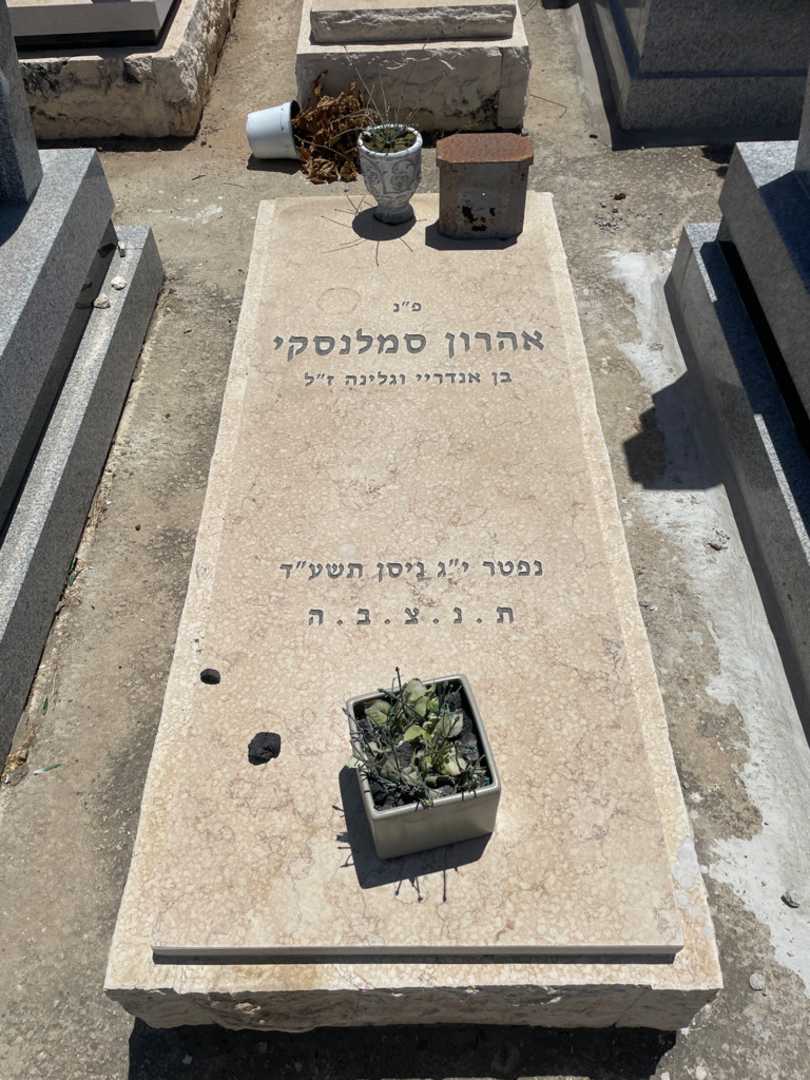 קברו של אהרון סמילנסקי