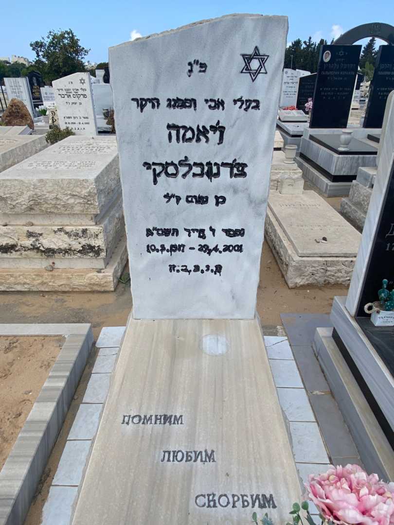 קברו של זיאמה צרנובלסקי. תמונה 2