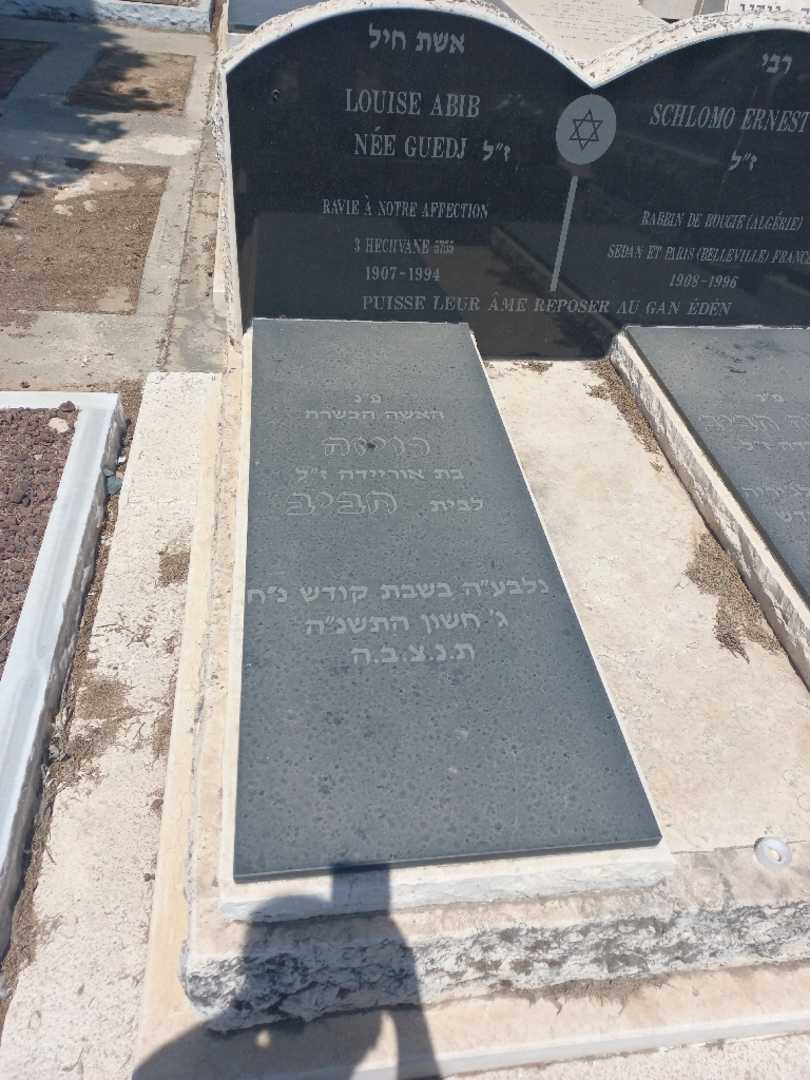 קברו של רויזה חביב. תמונה 1