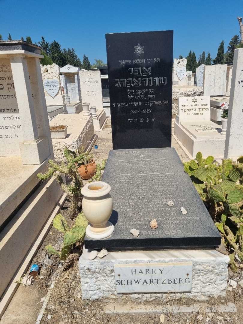 קברו של צבי-הרי שוורצברג