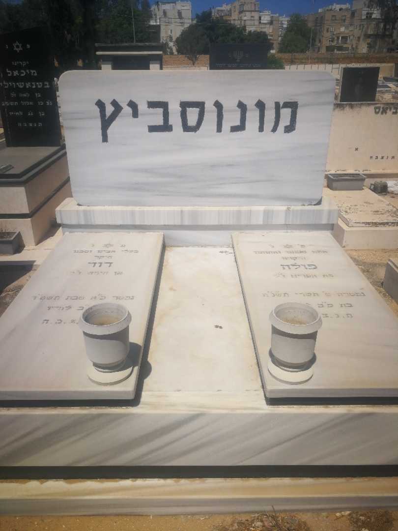 קברו של פולה מונוסביץ. תמונה 1