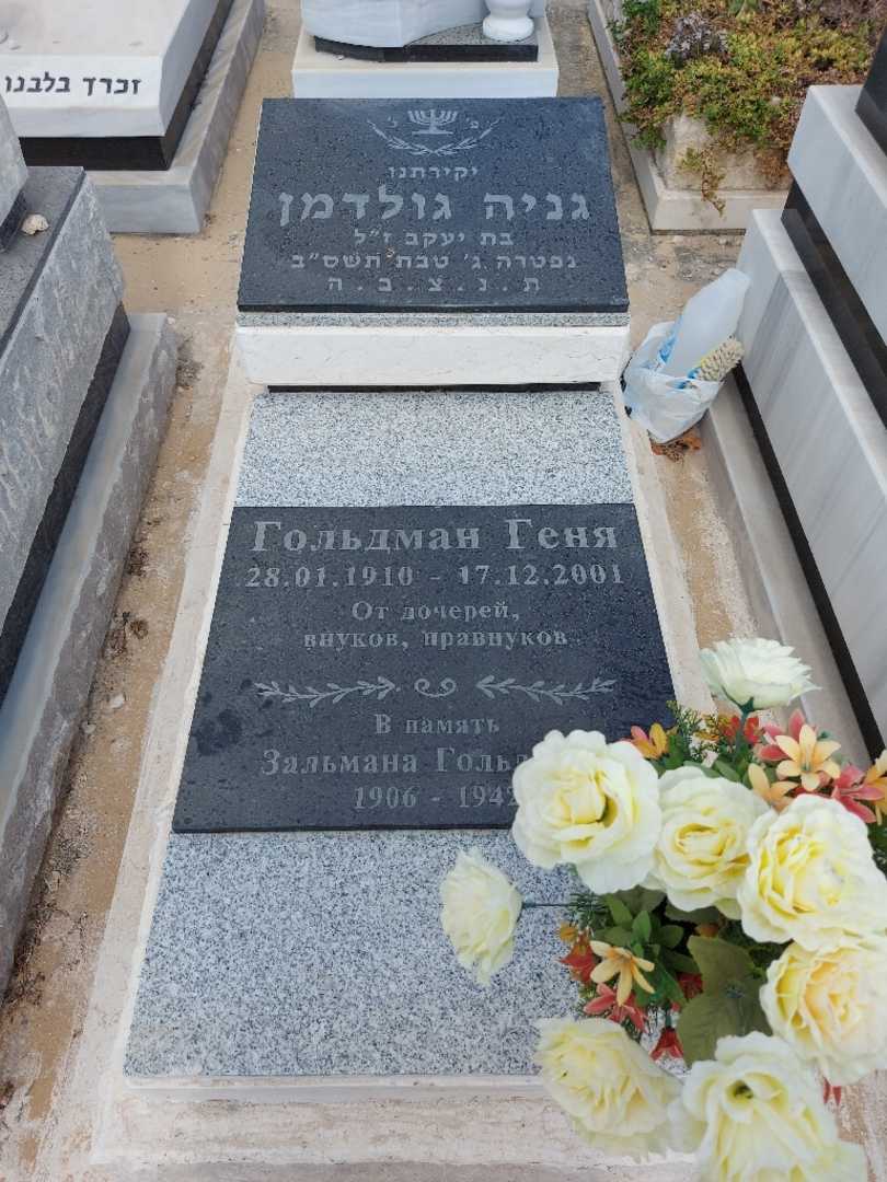 קברו של זלמנה גולדמן. תמונה 1