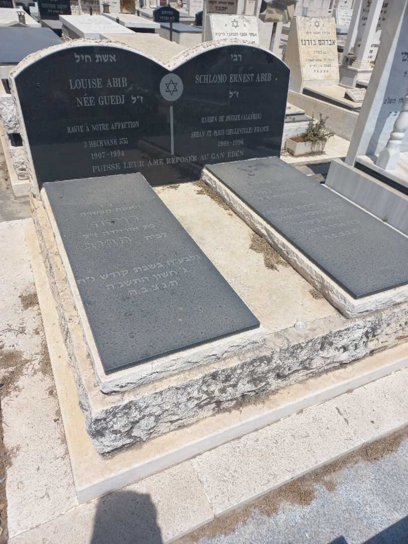 קברו של רויזה חביב. תמונה 2