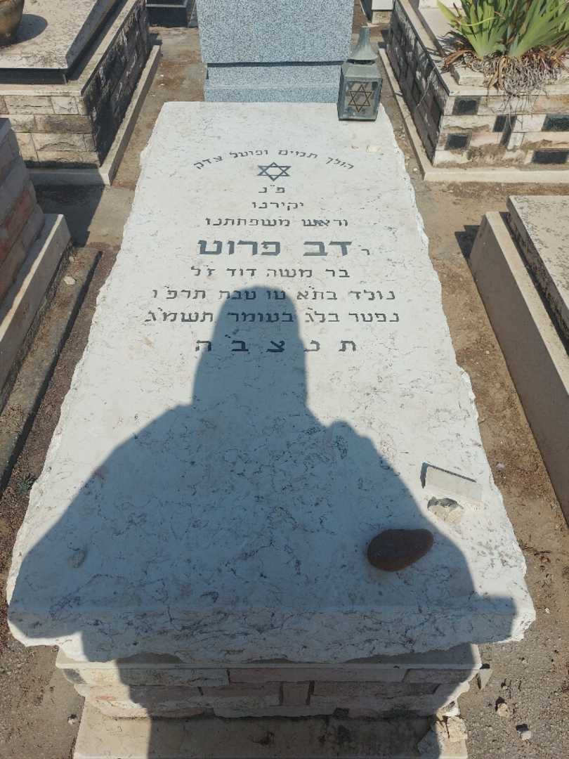 קברו של דב פרוט