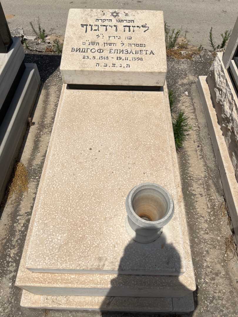 קברו של ליזה וידגוף