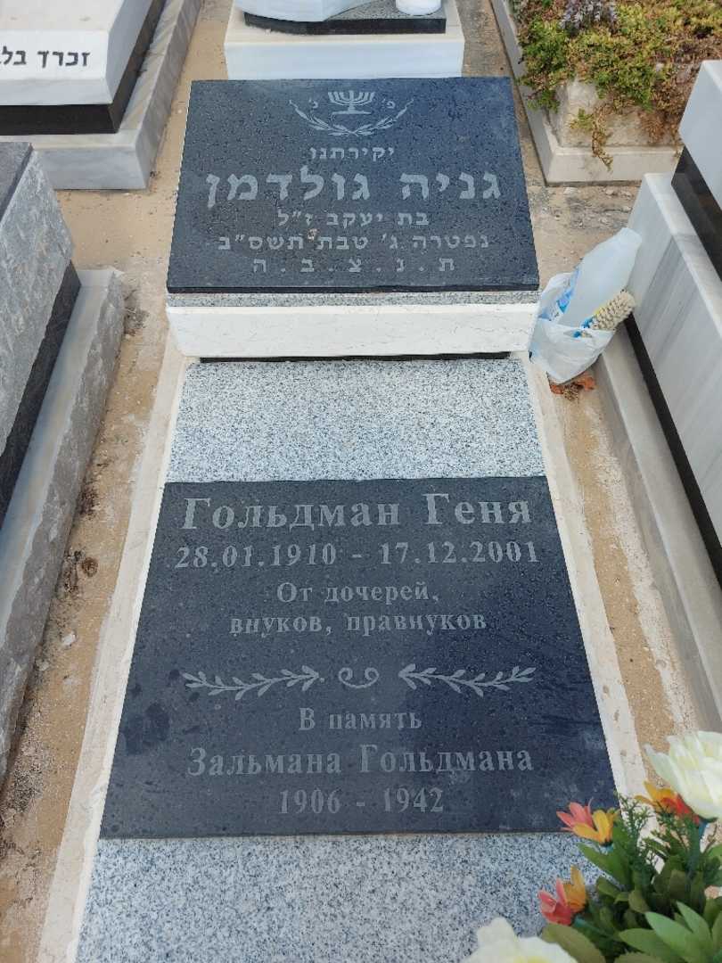 קברו של זלמנה גולדמן. תמונה 2