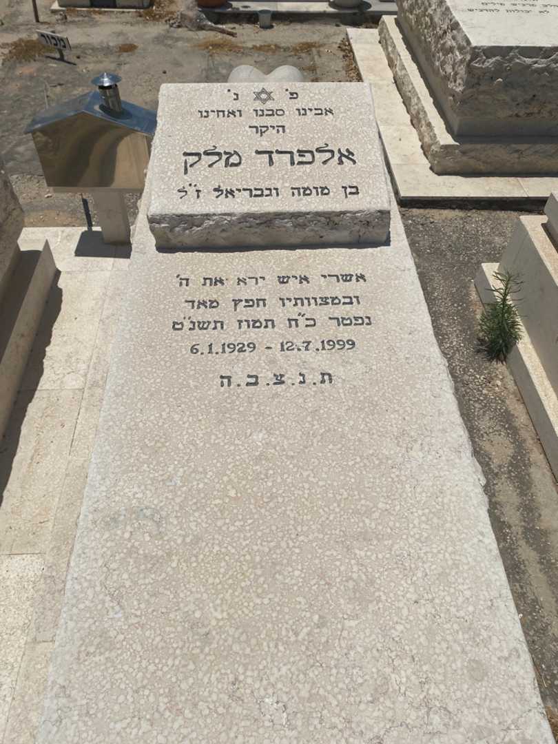 קברו של אלפרד מלק. תמונה 2