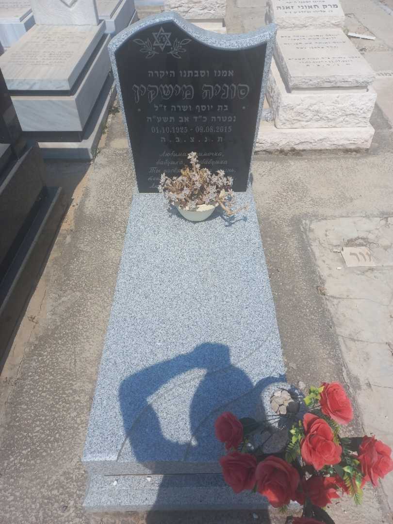 קברו של סוסה מישקין