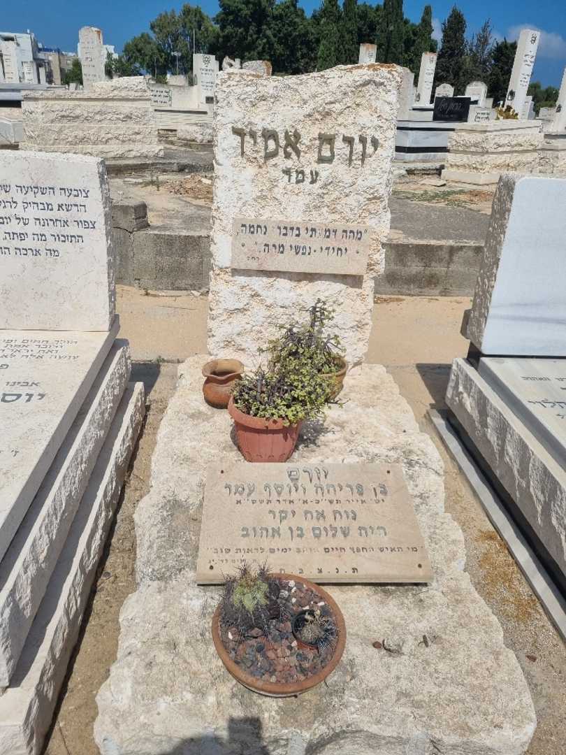 קברו של יורם אמיר עמר