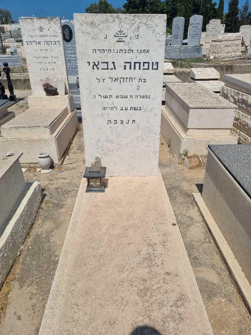 קברו של טפחה גבאי