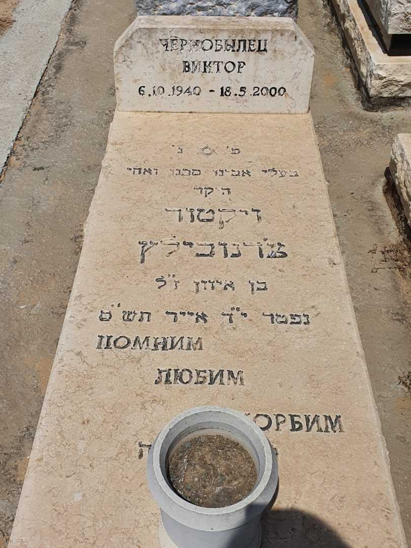 קברו של ויקטור צ'רנובילץ