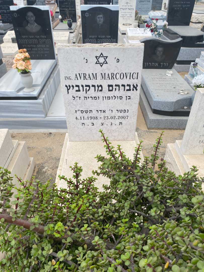 קברו של אברהם מרקוביץ