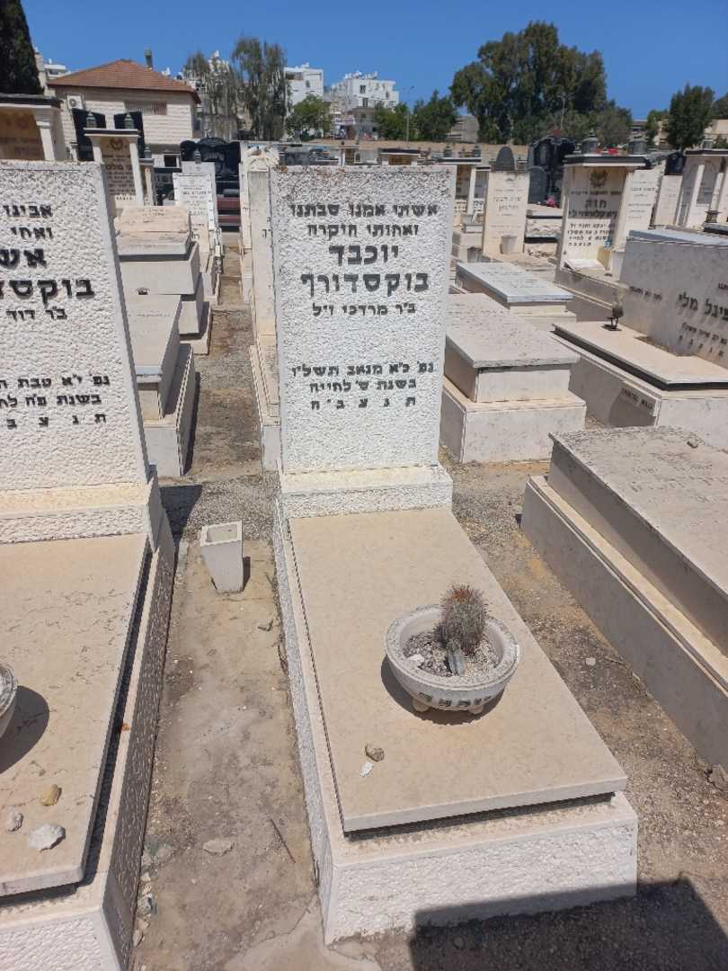 קברו של יוכבד בוקסדורף. תמונה 1