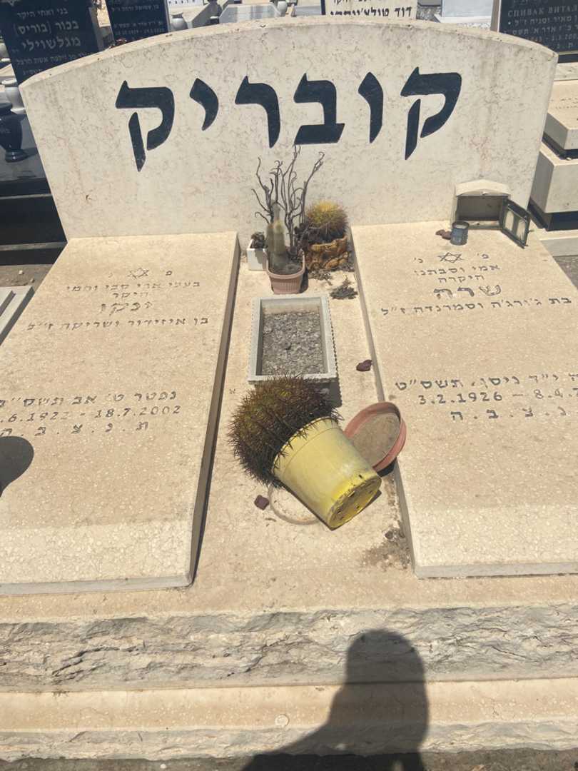 קברו של סמרנדה קובריק. תמונה 1