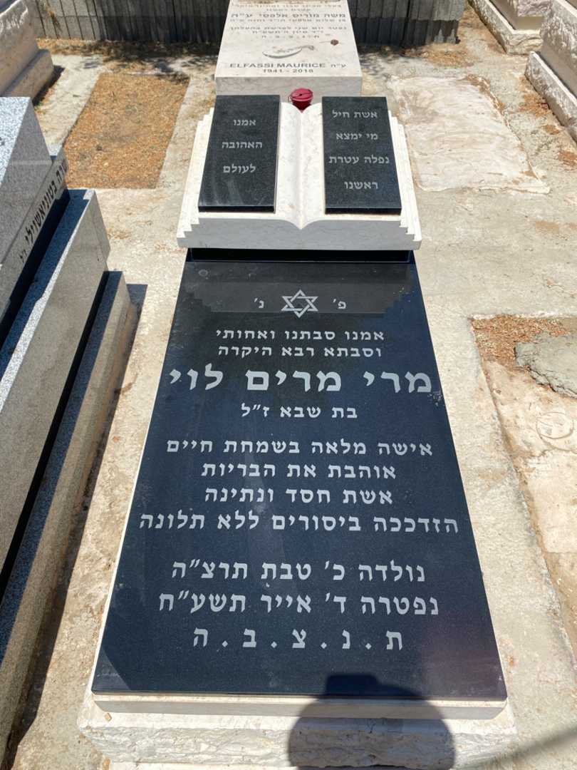 קברו של מרי לוי