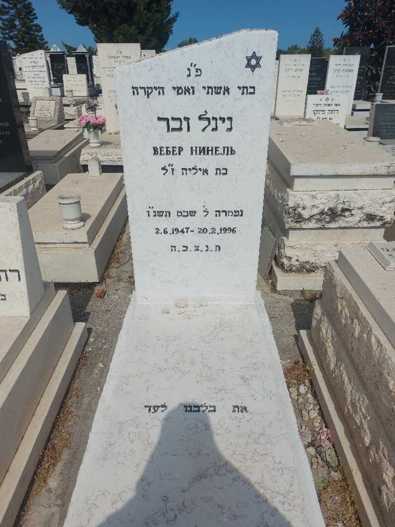 קברו של נינל ובר