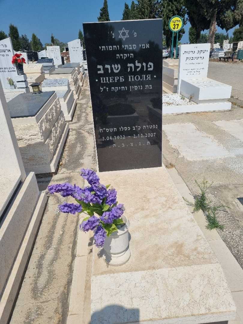 קברו של פולה שרב