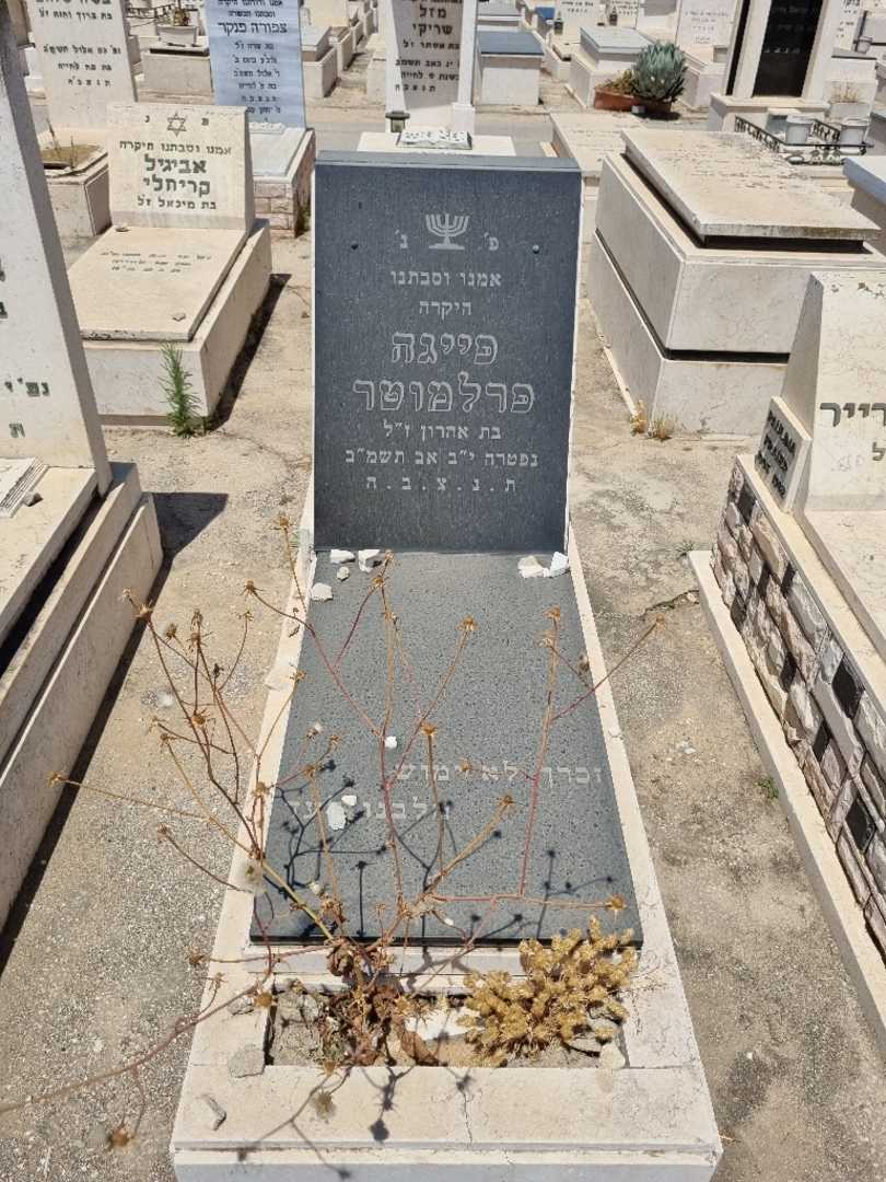 קברו של פיגה פרלמוטר