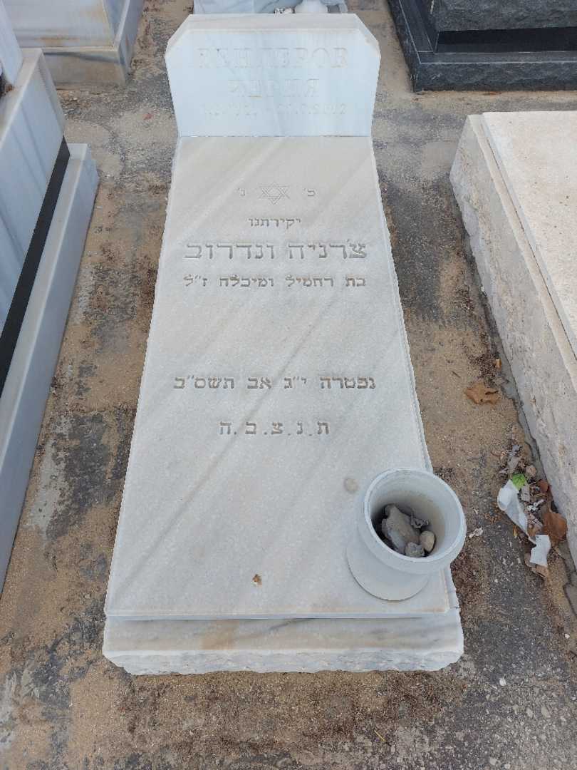 קברו של צרניה ונדרוב