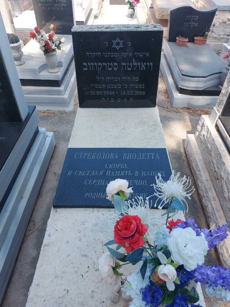 קברו של ויאולטה סטרקוזוב