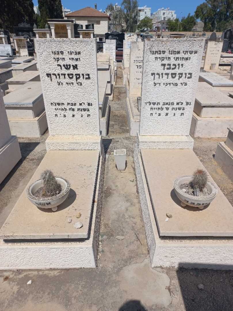 קברו של יוכבד בוקסדורף. תמונה 2
