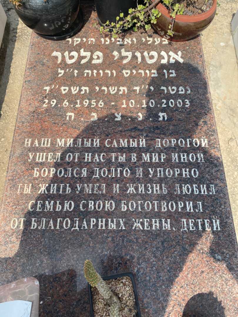 קברו של אנטולי פלטר. תמונה 2