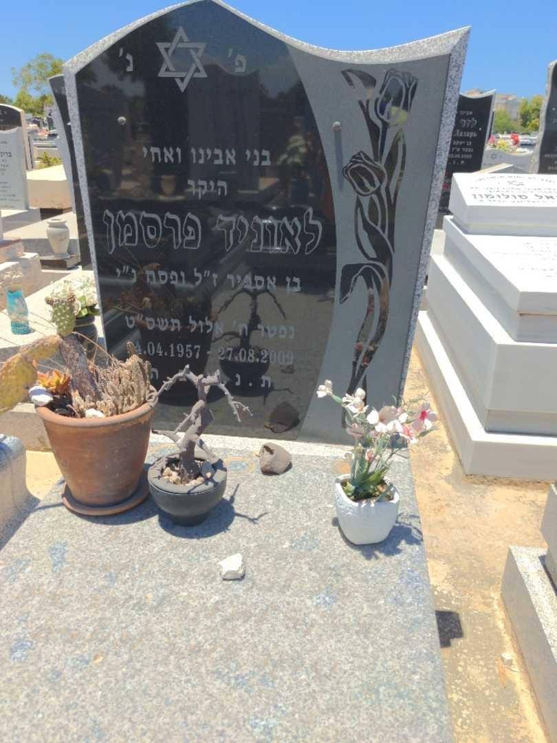קברו של לאוניד פרסמן. תמונה 1