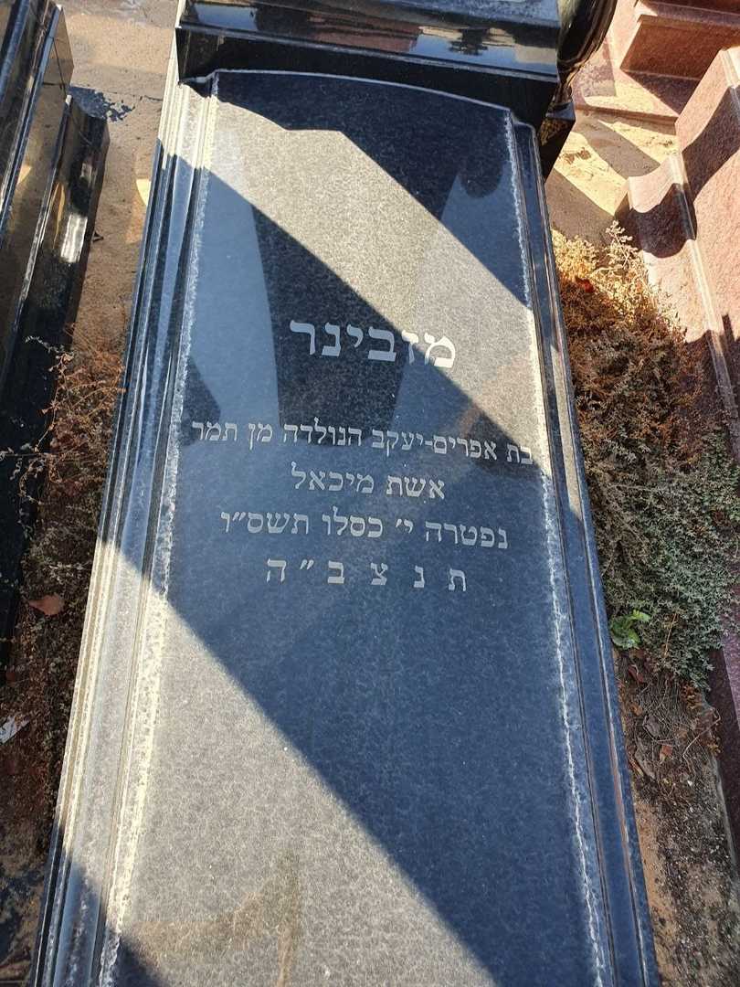 קברו של מזוינאר דברשוילי. תמונה 3