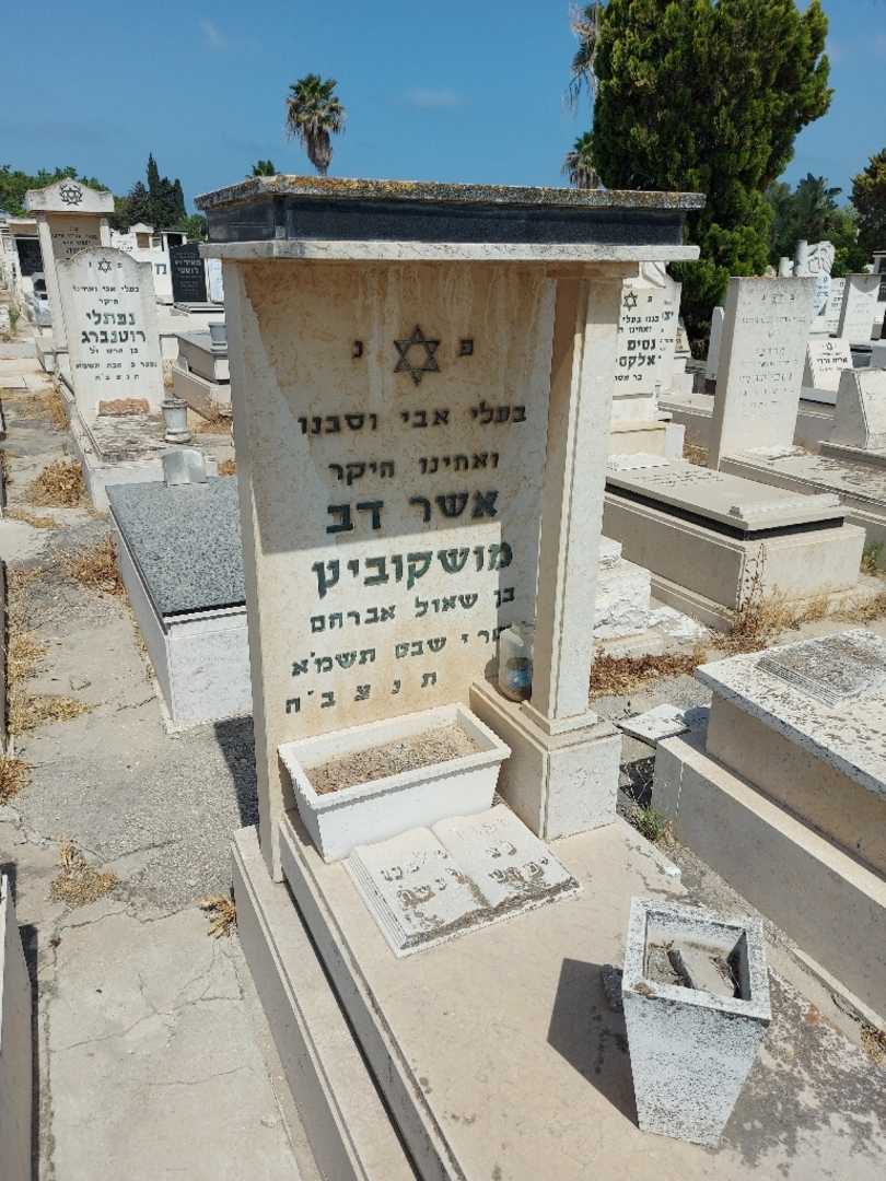 קברו של אשר מושקוביץ. תמונה 2