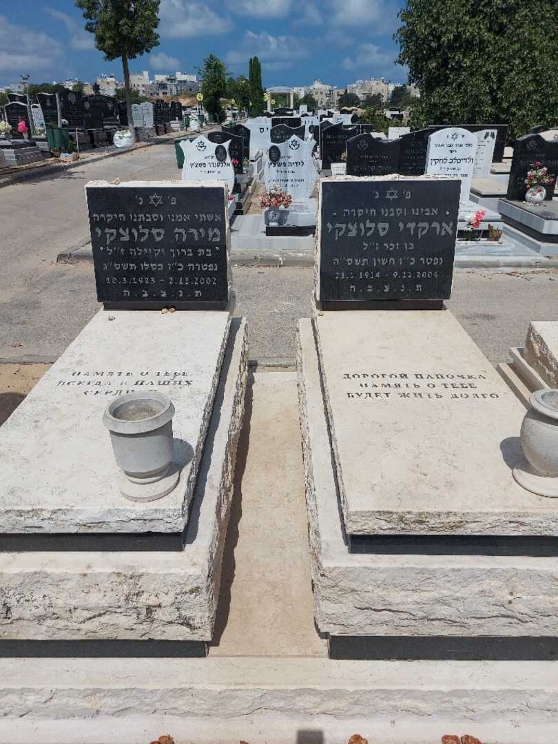 קברו של ארקדי סלוצקי. תמונה 2