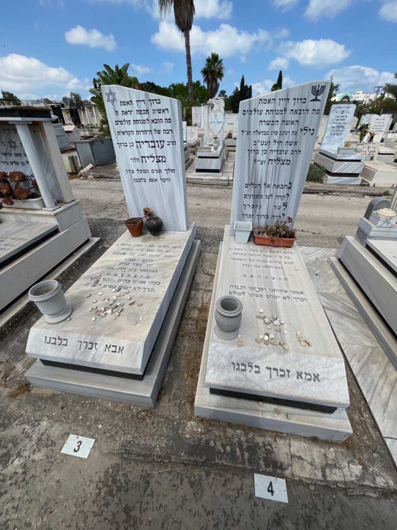 קברו של נילי מצליח. תמונה 2