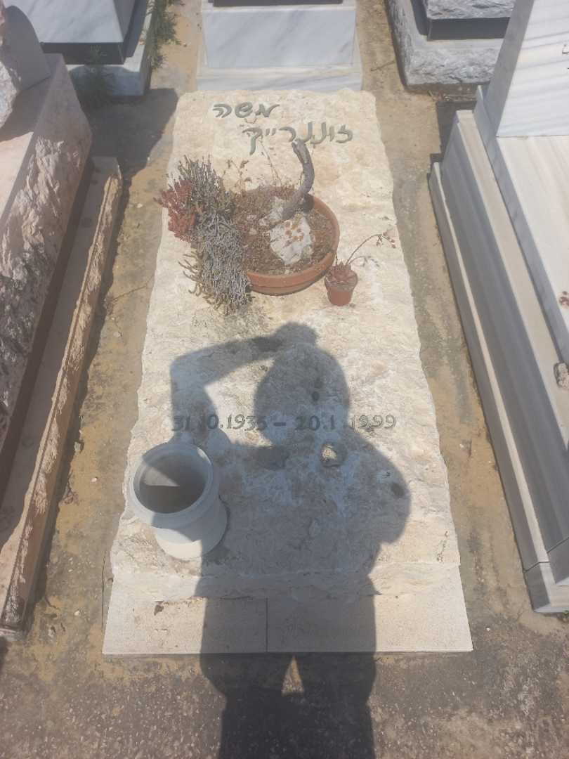 קברו של משה זונריך