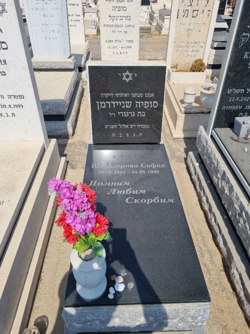 קברו של סופיה שניידרמן