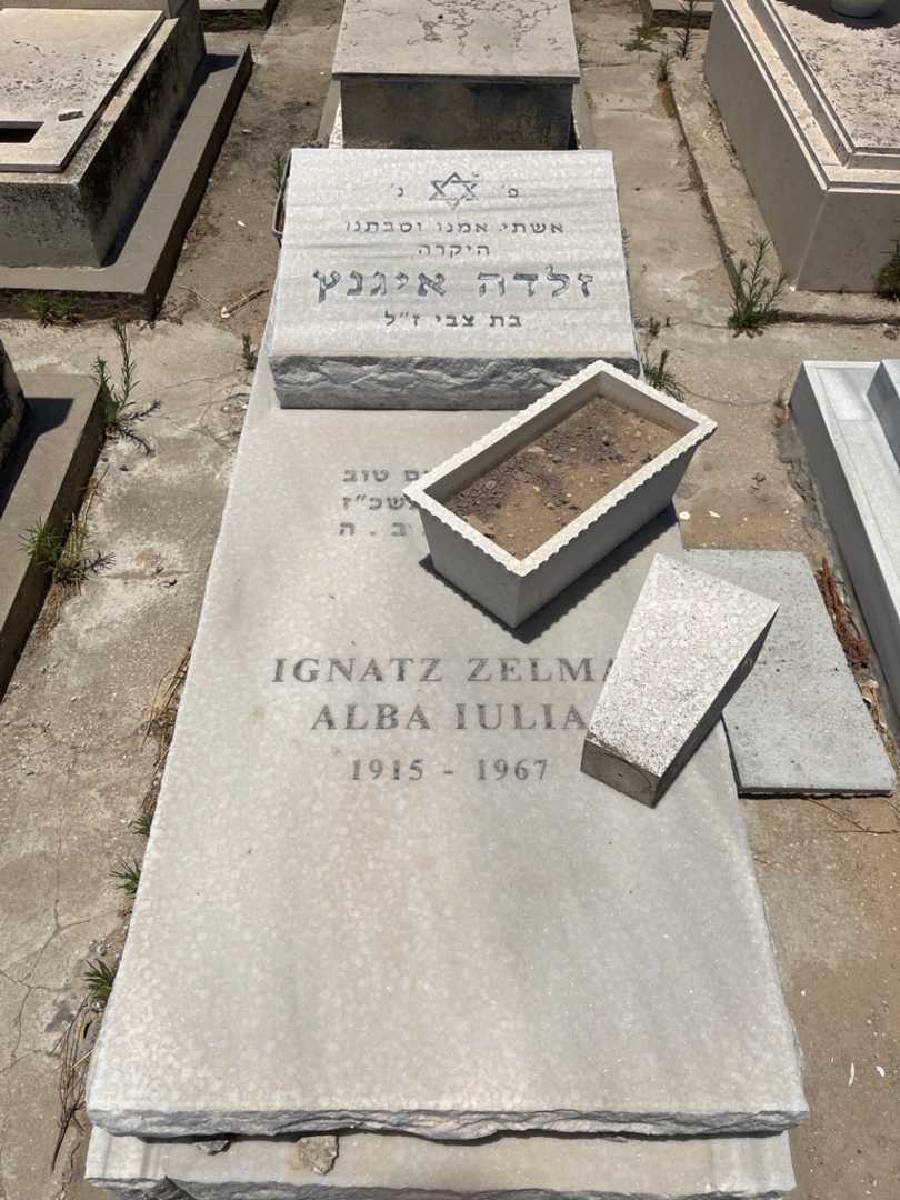 קברו של זלמה איגנץ