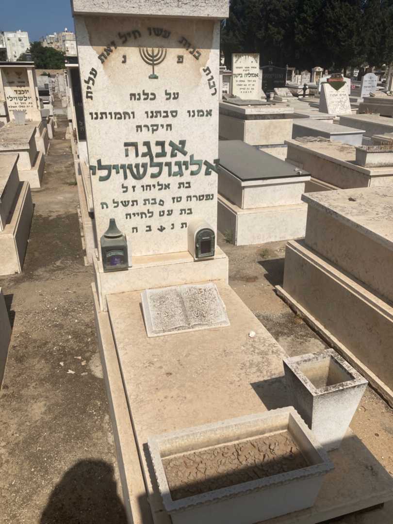 קברו של אבגה ז"ל אליגולשוילי