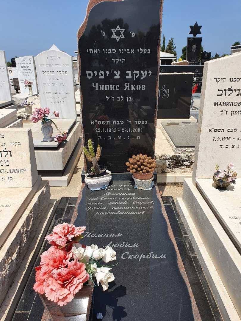 קברו של יעקב ציפיס