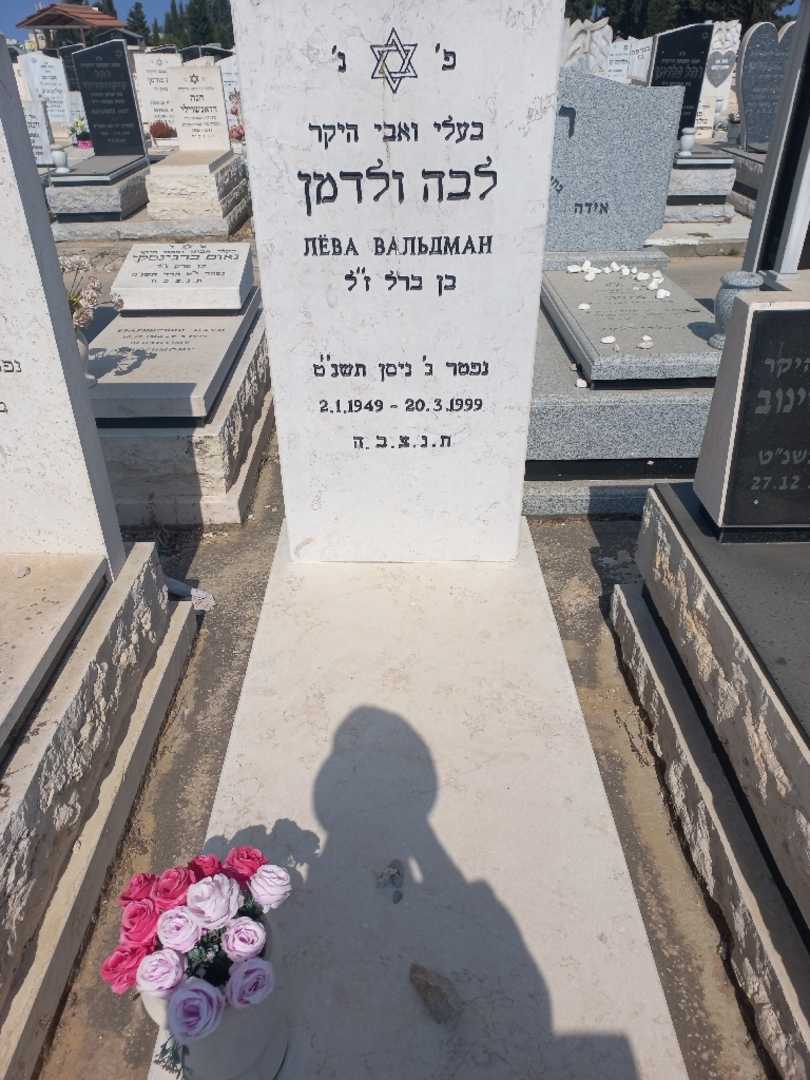 קברו של לבה ולדמן