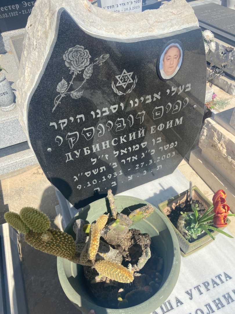 קברו של יפים דובינסקי. תמונה 2
