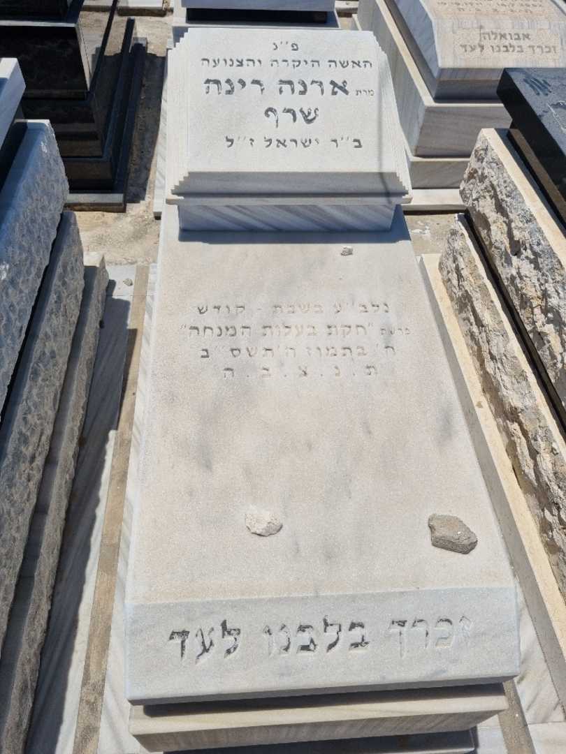 קברו של ארנה שרף