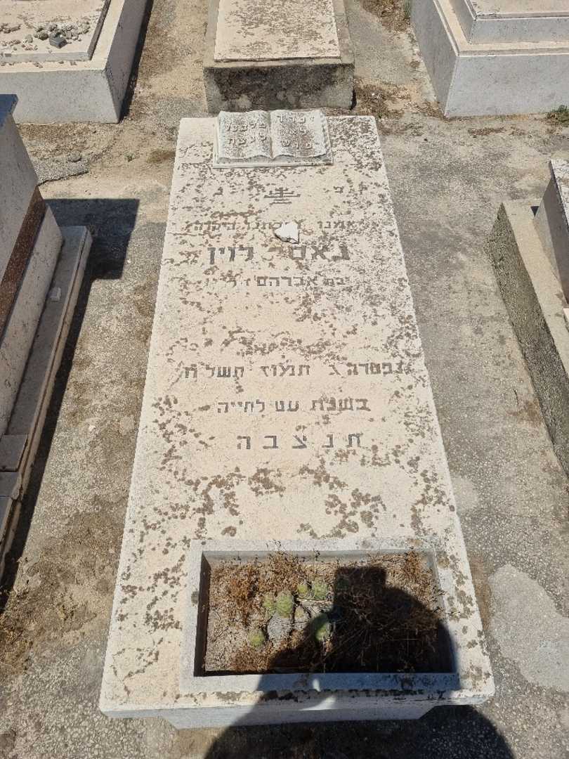 קברו של ואידה לוין. תמונה 1