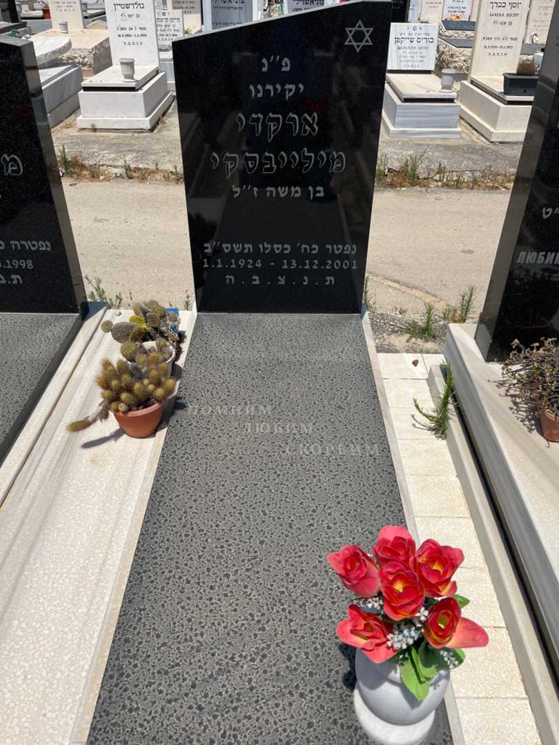 קברו של ארקדי מילייבסקי. תמונה 1