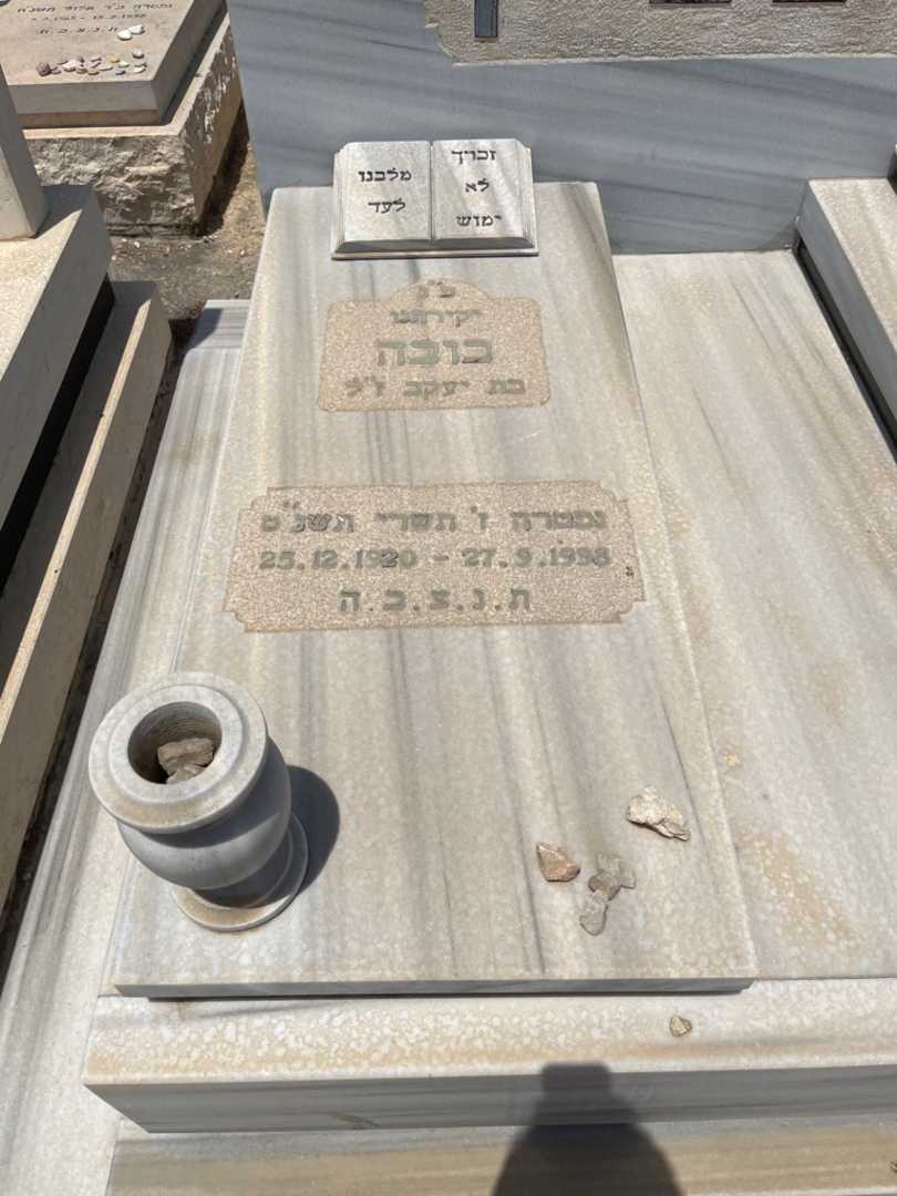 קברו של בובה ליפשיץ. תמונה 1