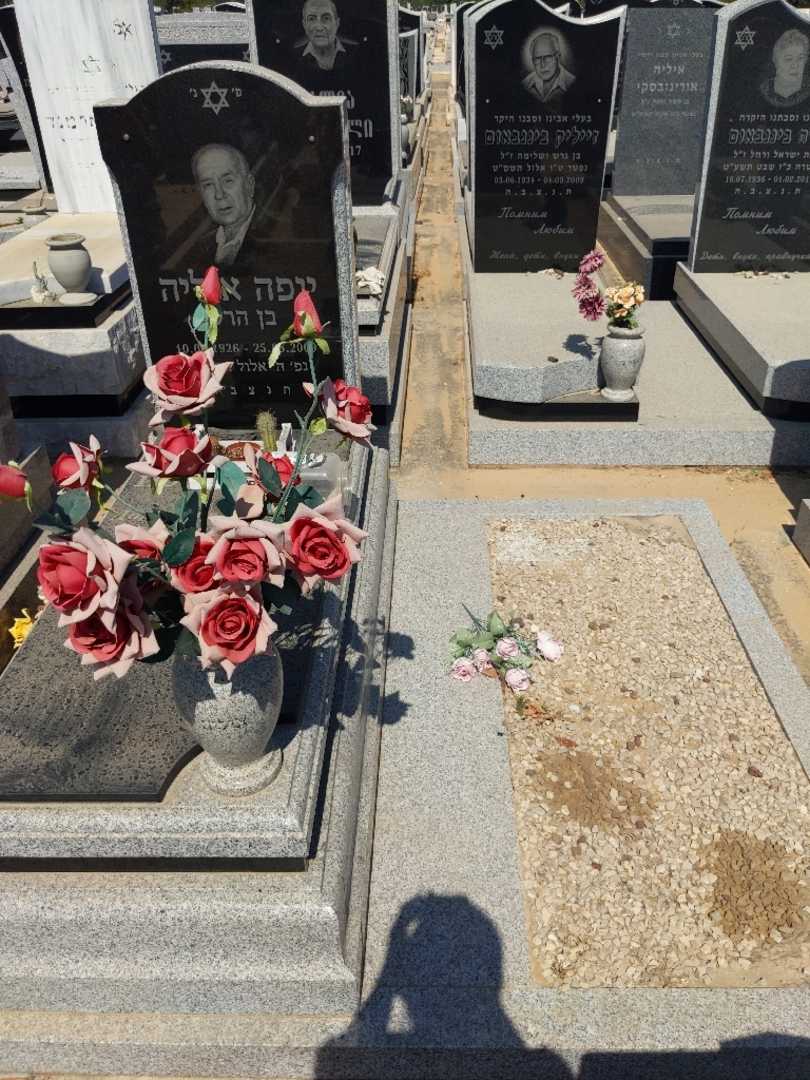 קברו של איליה יופה. תמונה 1