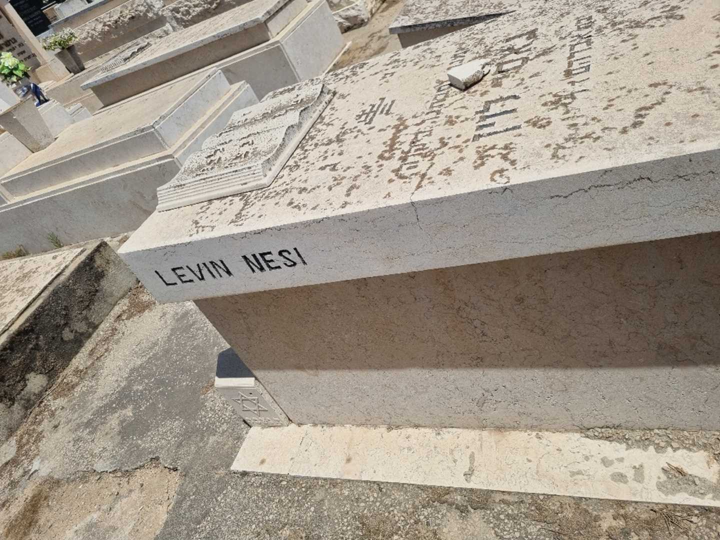 קברו של ואידה לוין. תמונה 2