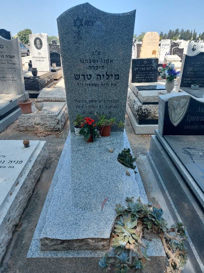 קברו של מיליה טרש