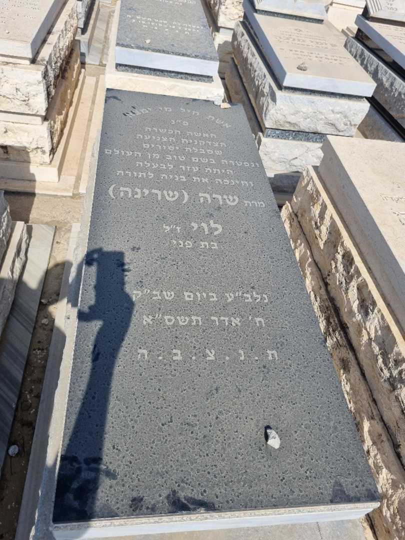 קברו של סרינה שרינה לוי