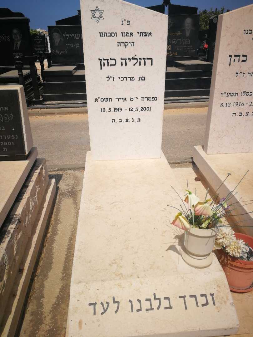 קברו של רוזליה כהן. תמונה 1