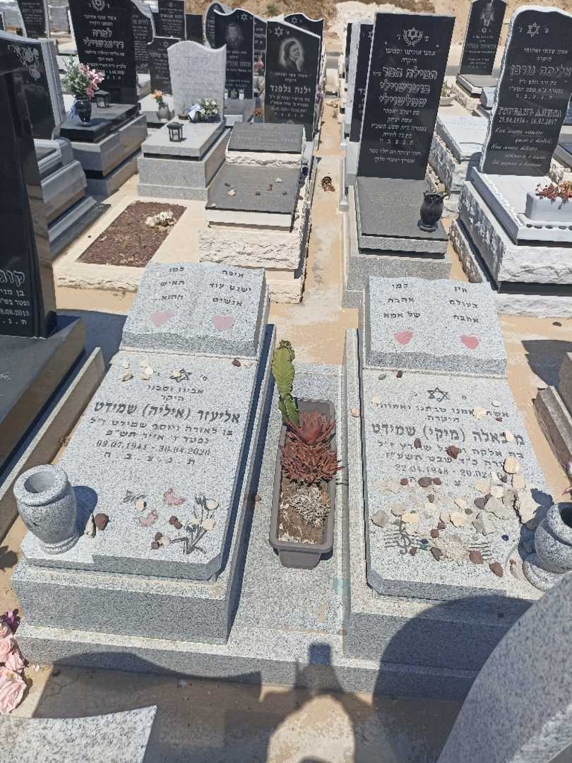 קברו של אליעזר "איליה" שמידט. תמונה 1