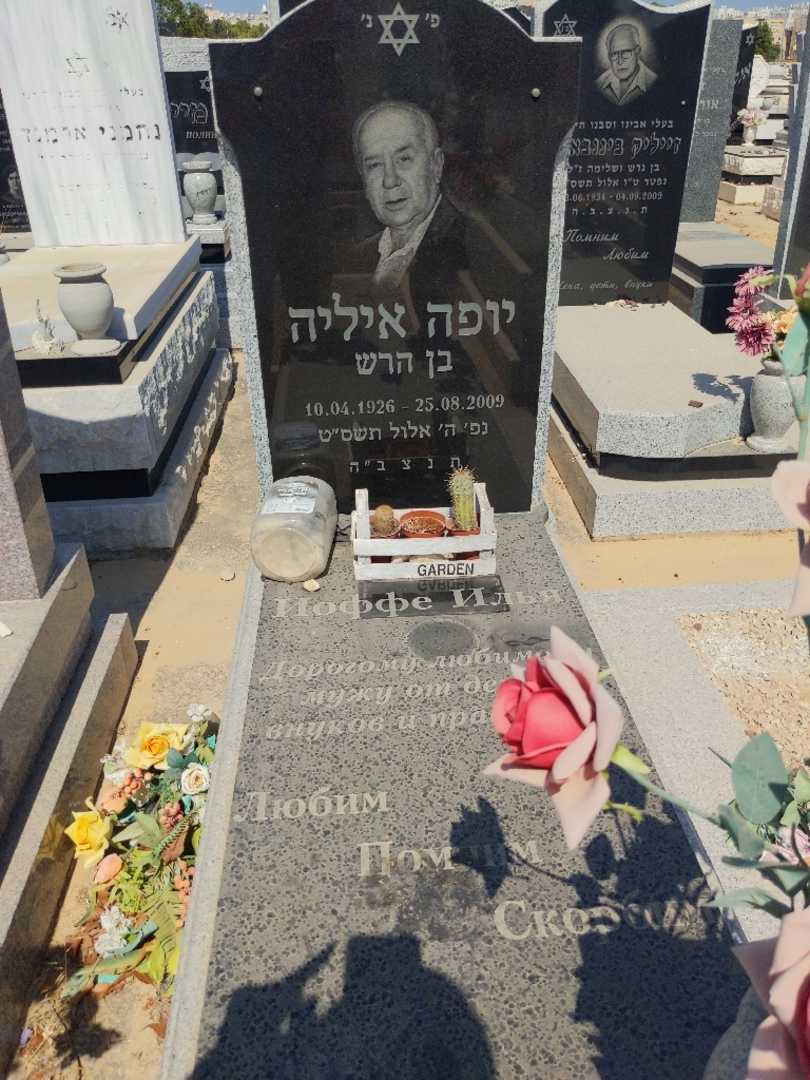 קברו של איליה יופה. תמונה 2