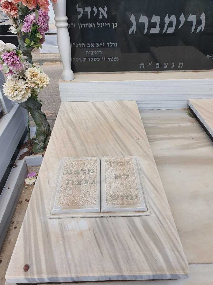קברו של אידל גרינברג. תמונה 2